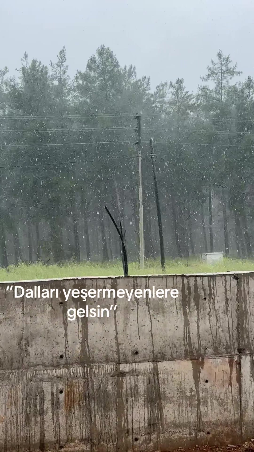 @BesirAys