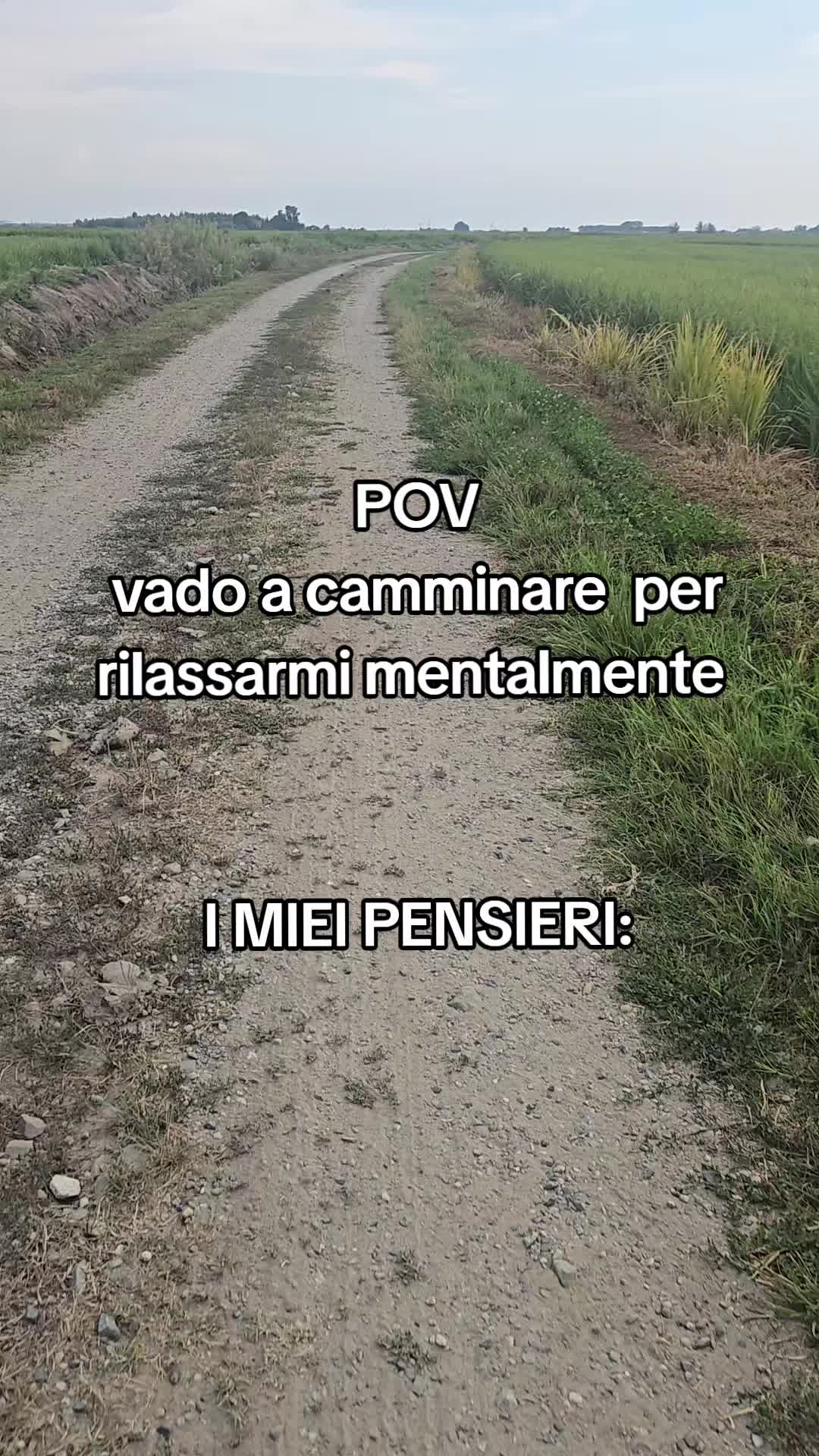 @Federica Gerardis He