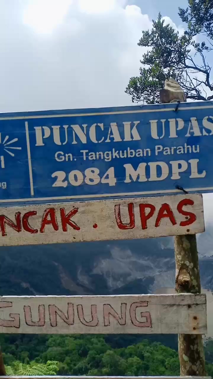 @@CINTA77