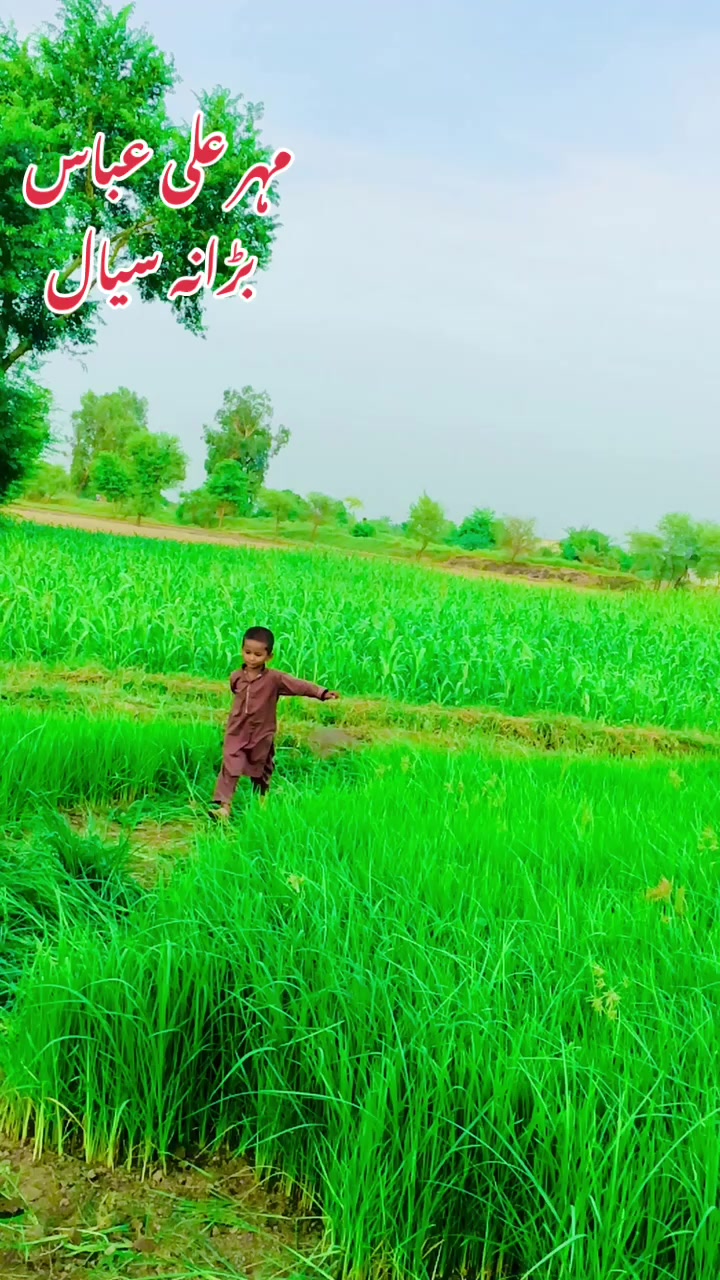 @شہزادہ رمضان بڑانہ سیال 25 پل