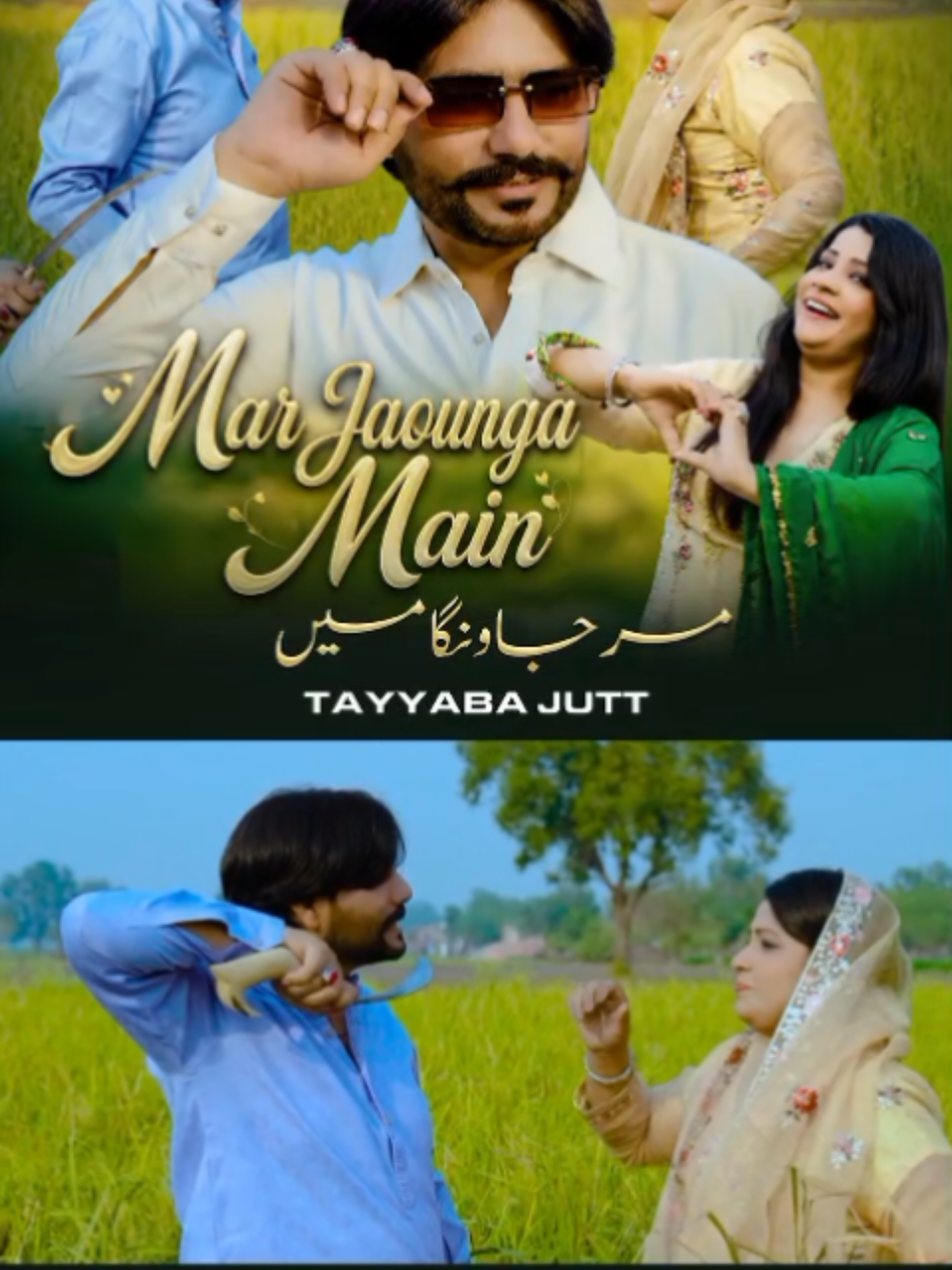 @Tayyaba Jutt