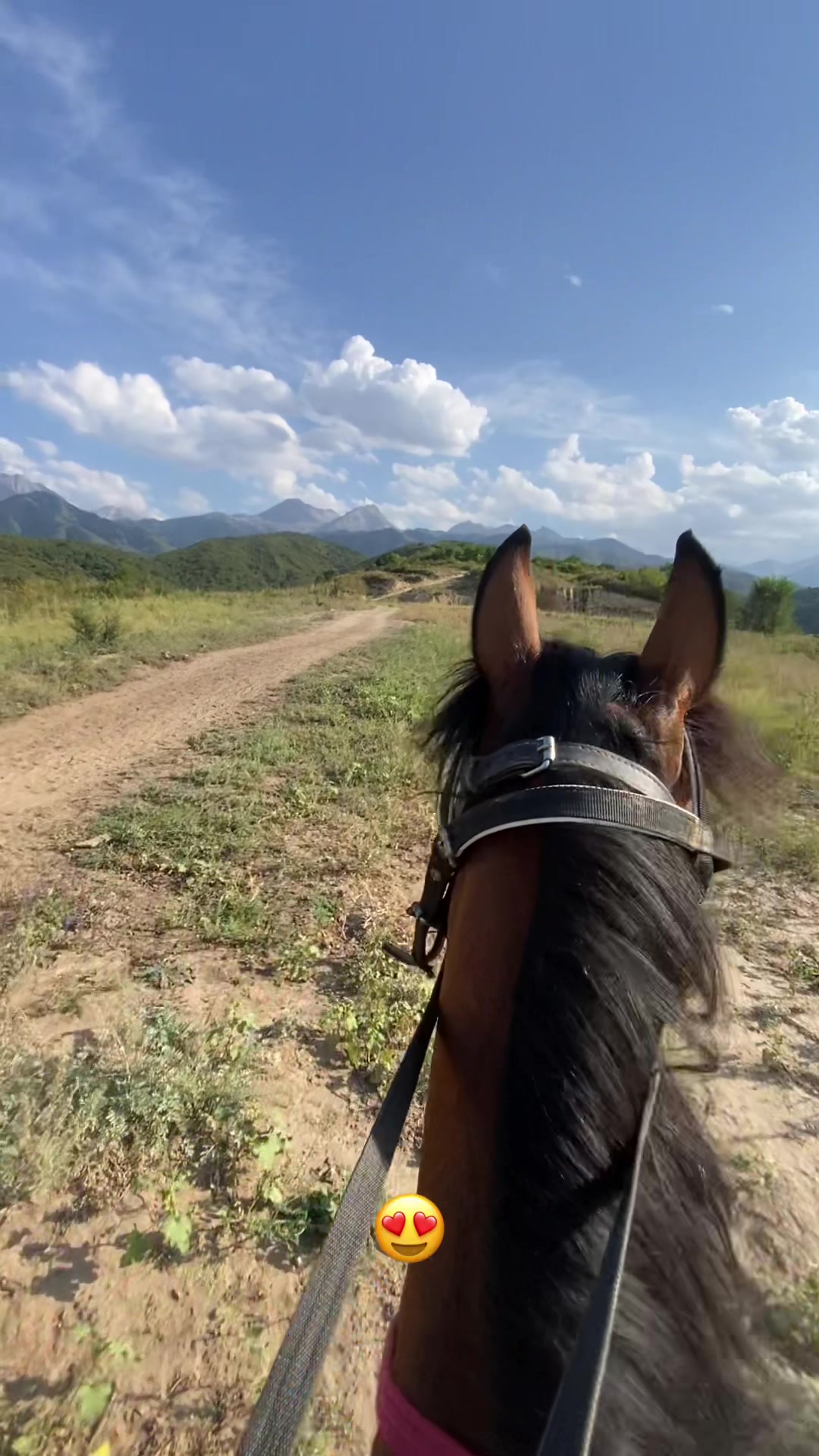 @jockey.hors