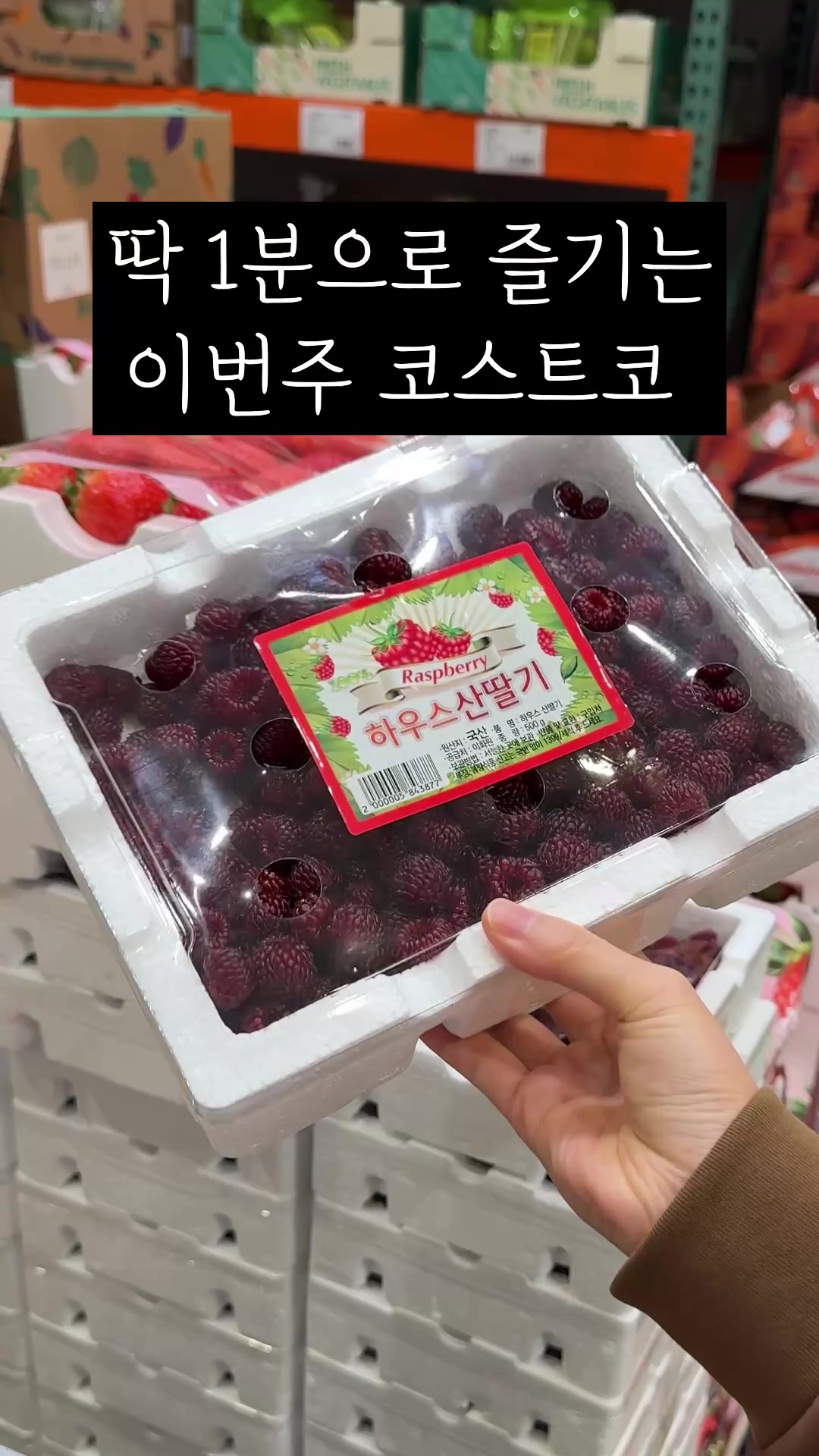 @살림구조대