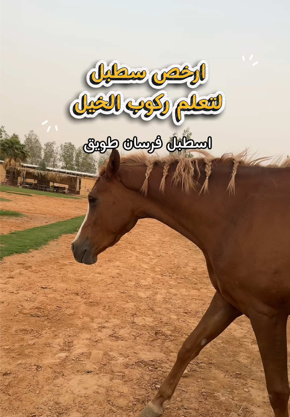 @مروة عبدالعزيز ✨📸