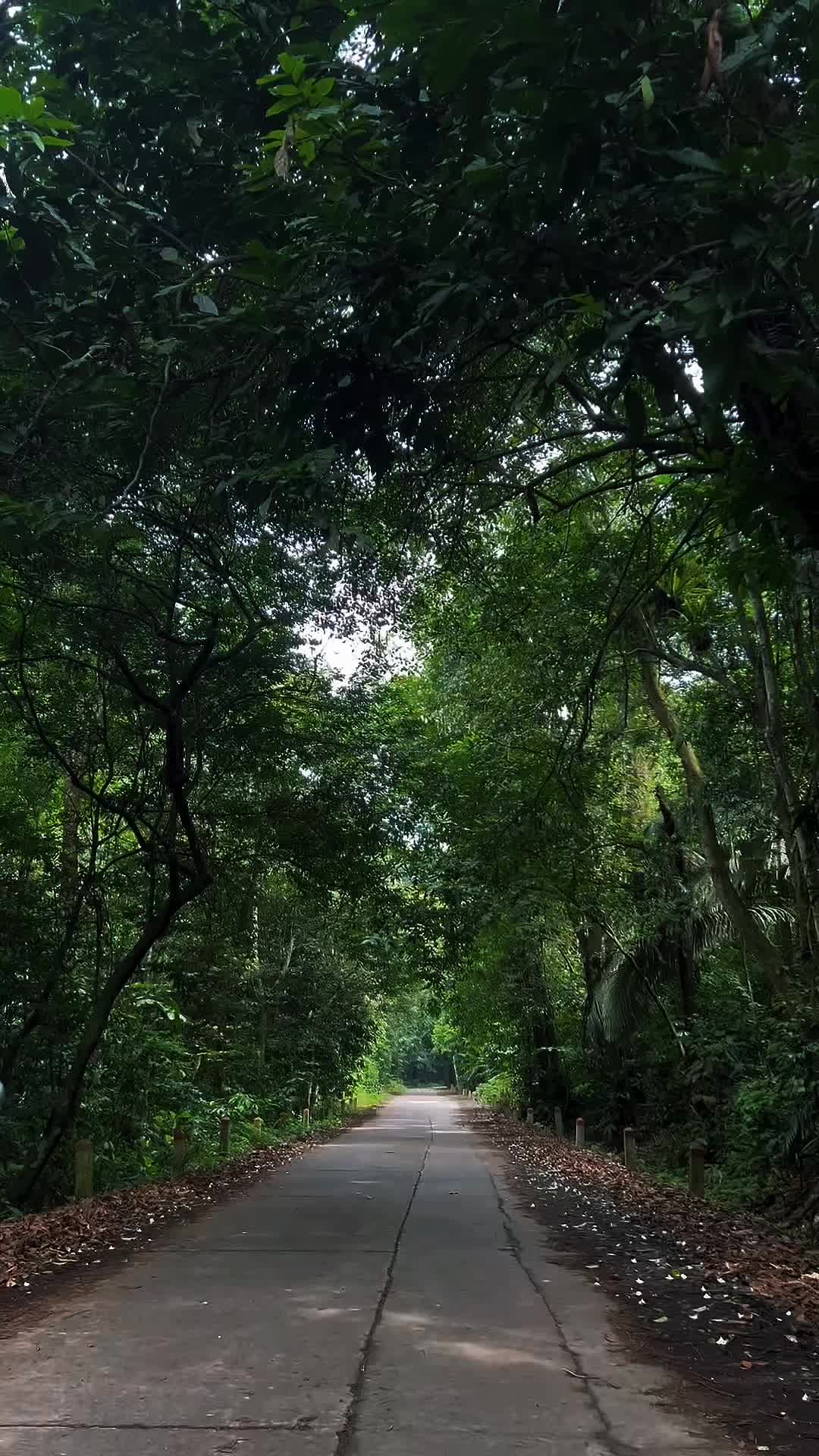 @Nguyễn Văn Phương