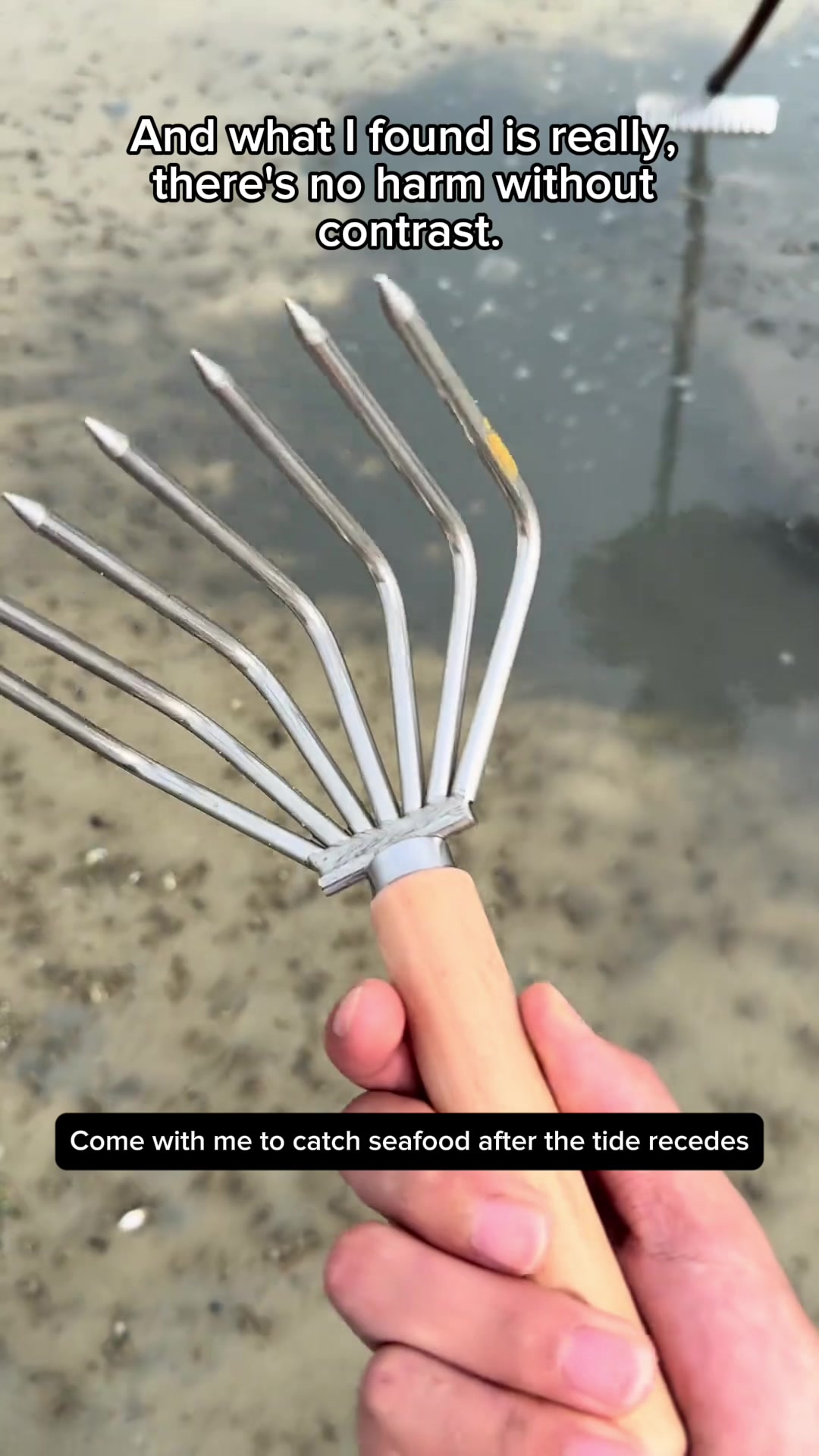 @Catch fish by hand