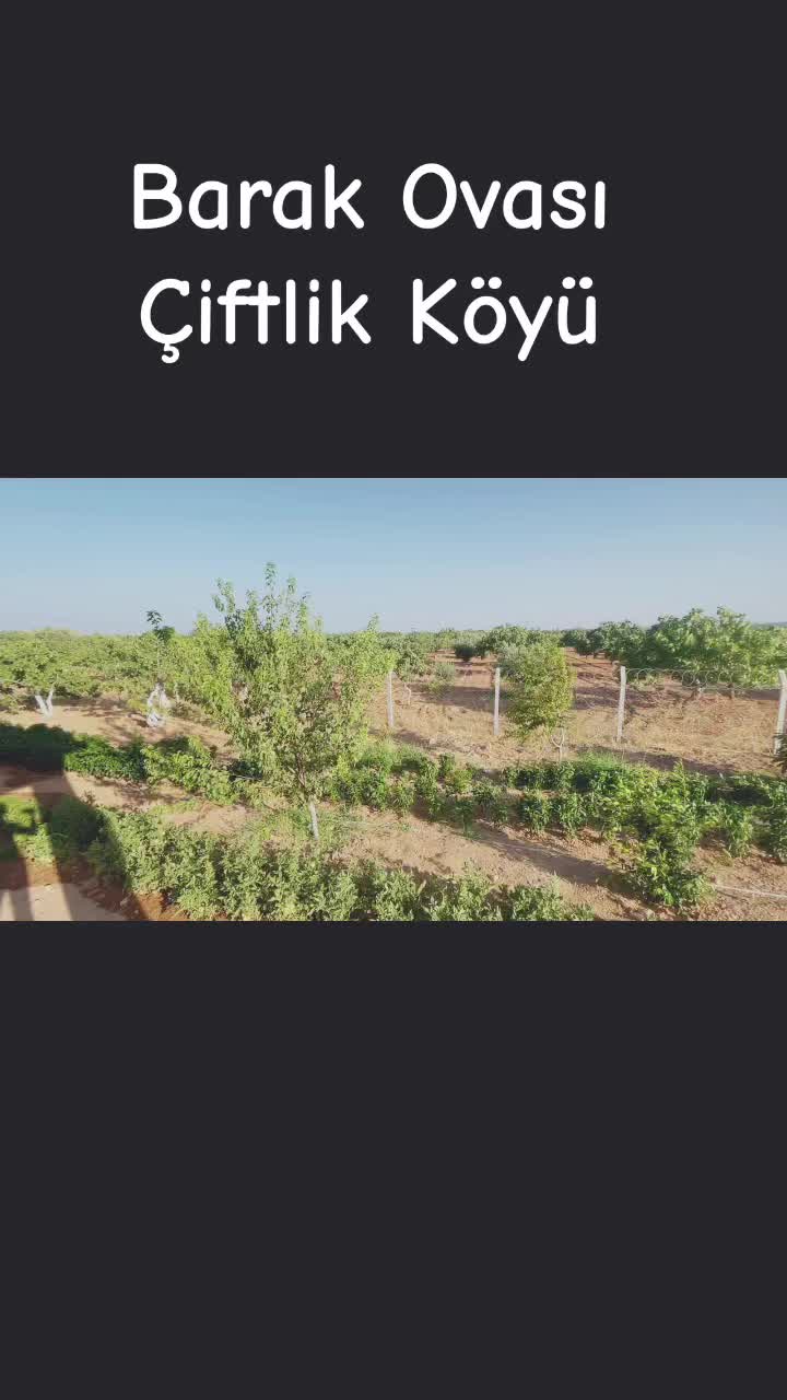 @Özcan Özaslann🇹🇷🇹🇷🇹🇷