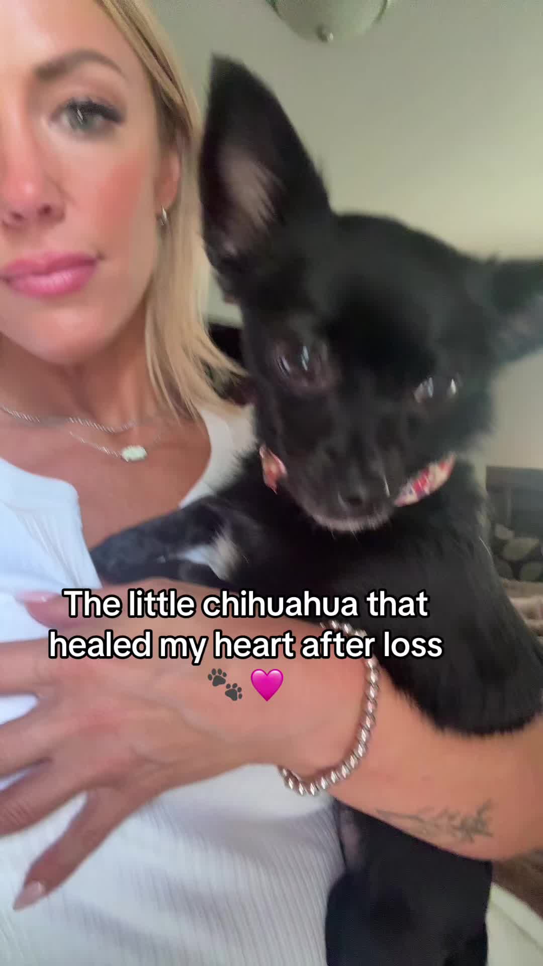 @Jordie