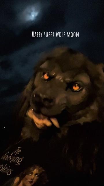 @MoonshiftMonsters