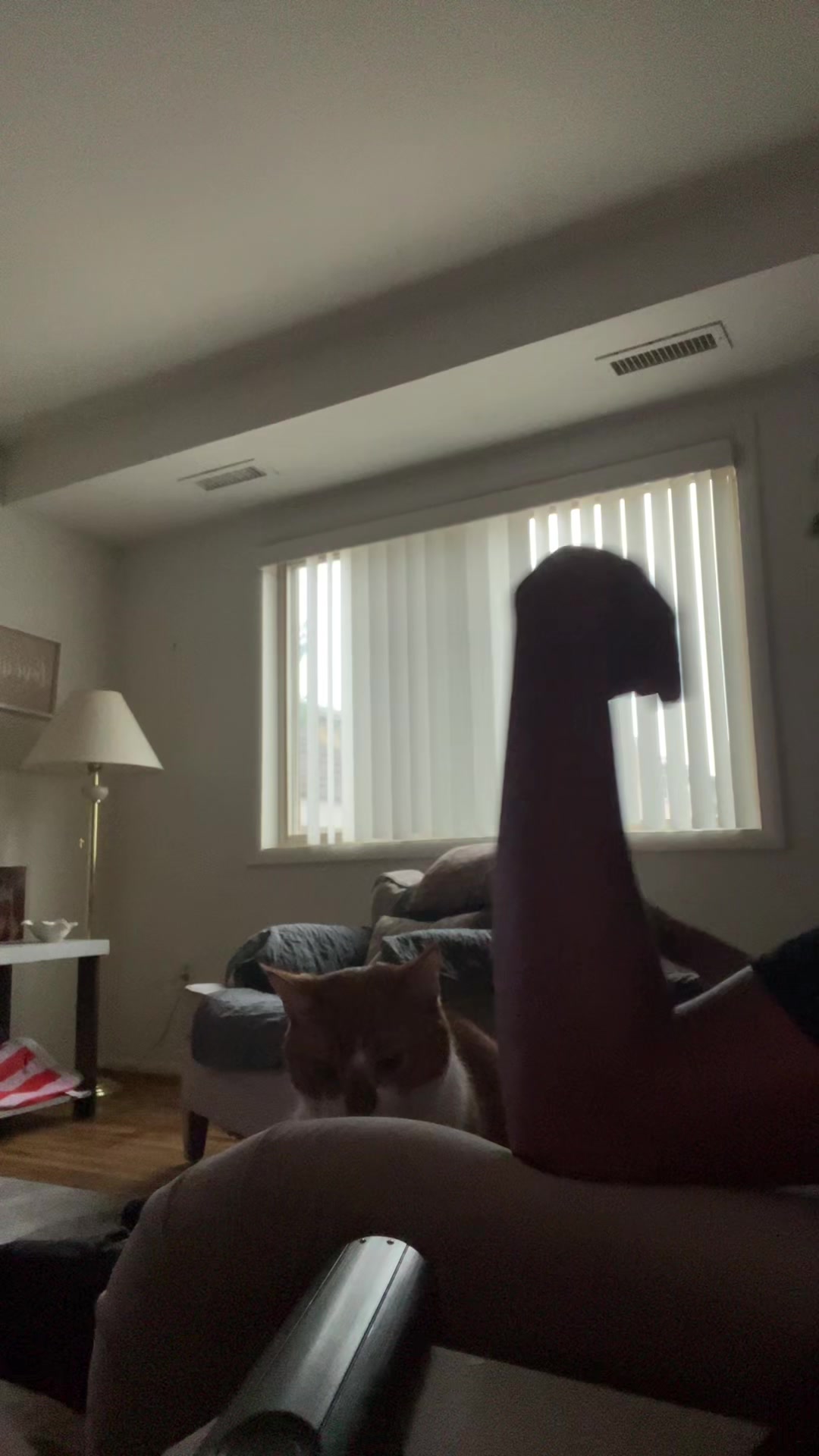 @JadaXWXBTW