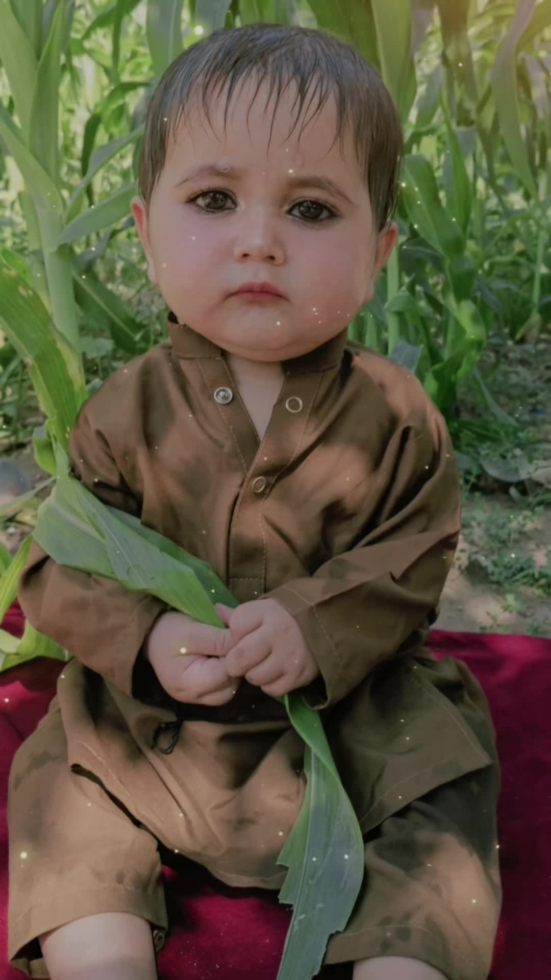 @(⌐▀͡ ̯ʖ▀)︻̷┻̿═━一-FAZAL MANGAL