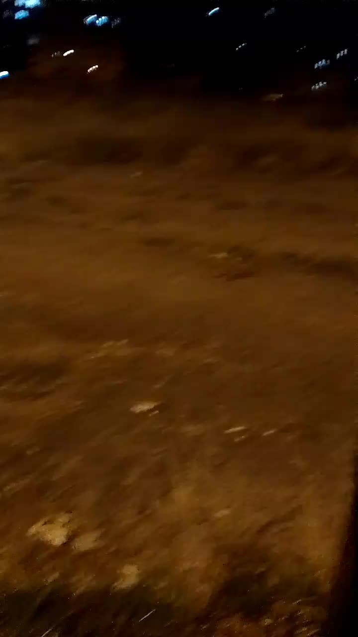 @nefretimsin dünya