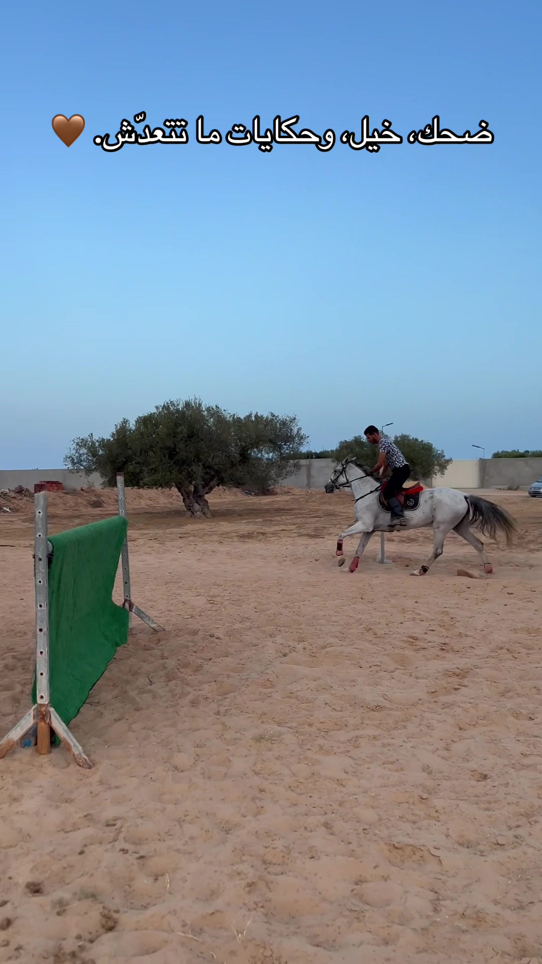 @Feres Ben Amor 🏇