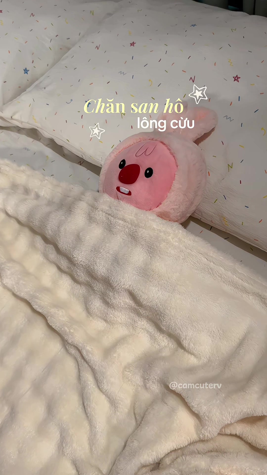 @Cam Cute