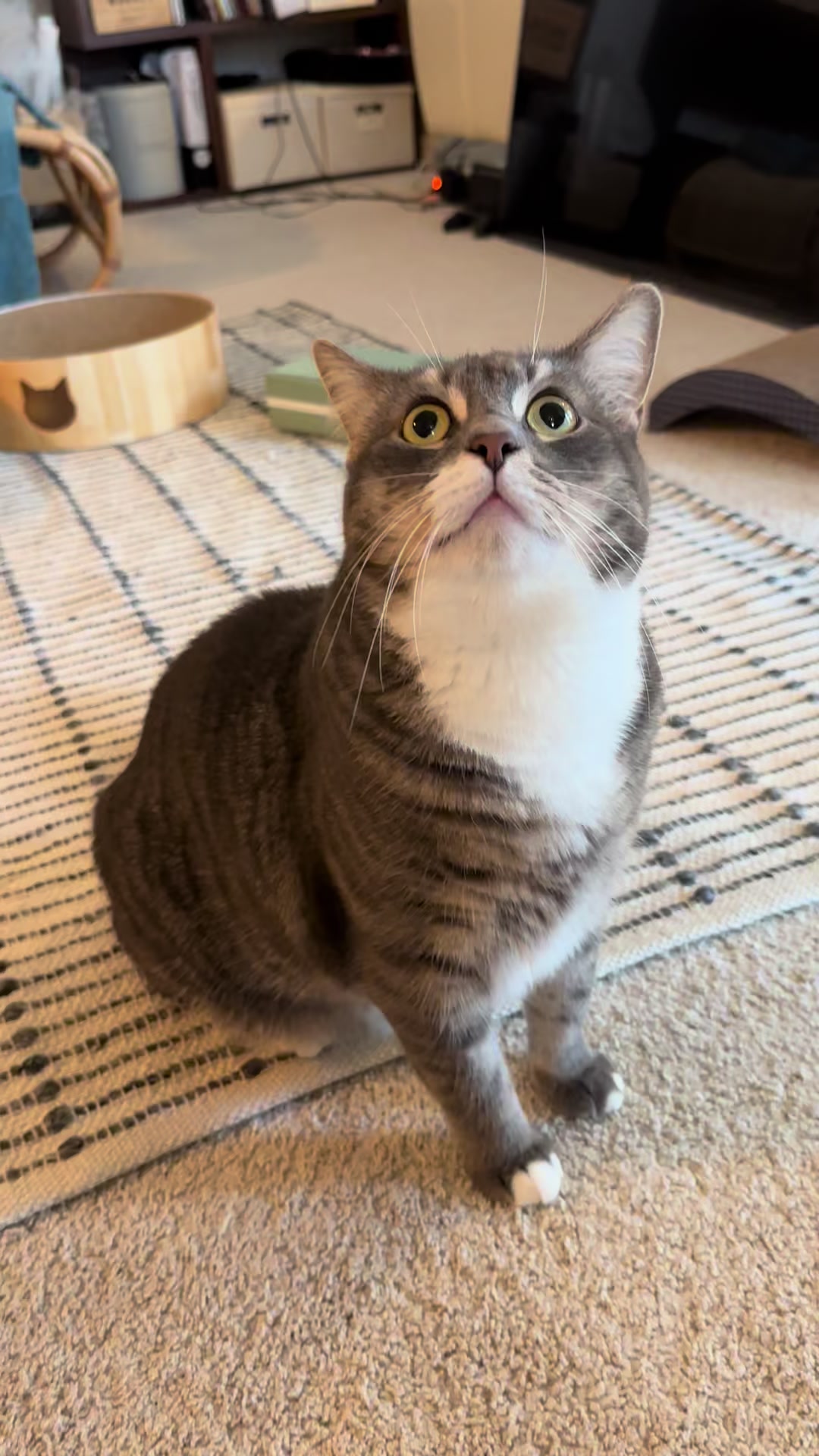 @็ซใฎใใ๐ฑ