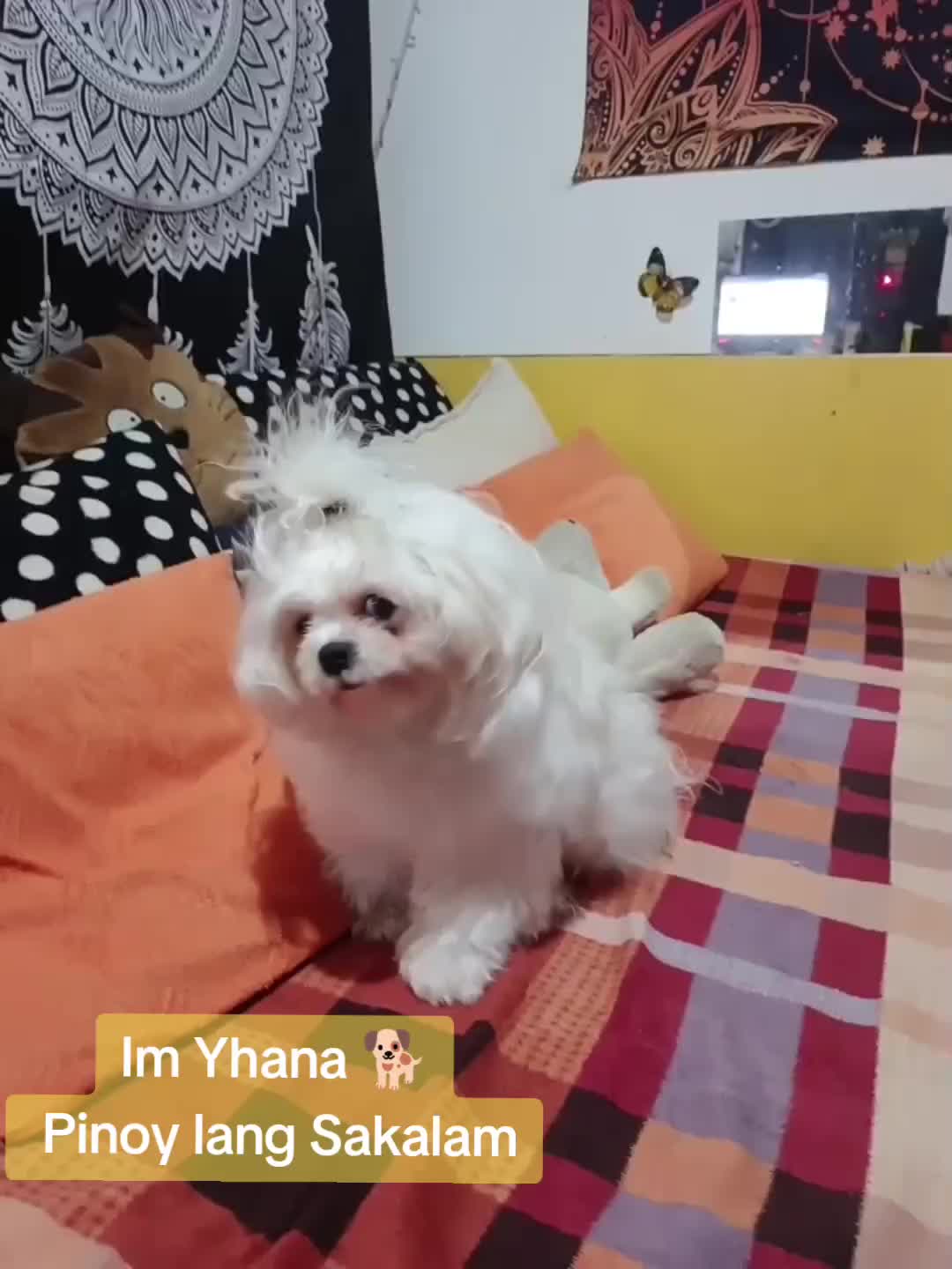 @Trending & Viral
