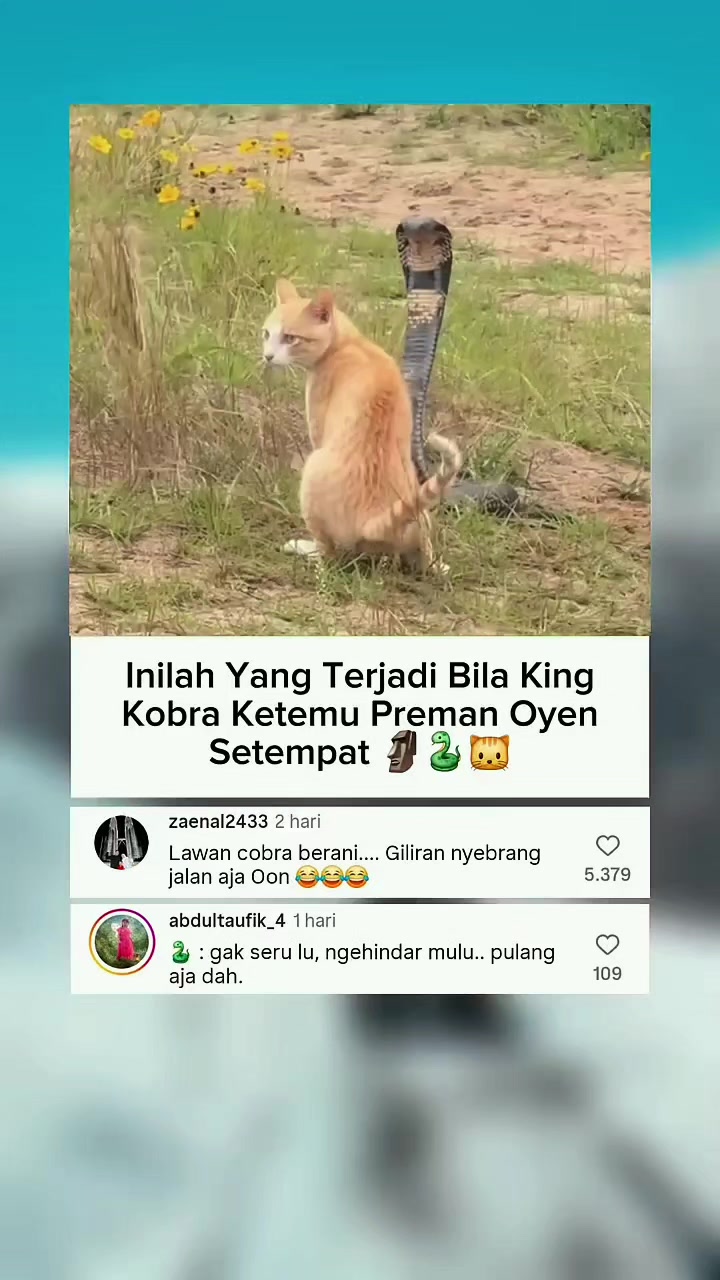 @Kiki