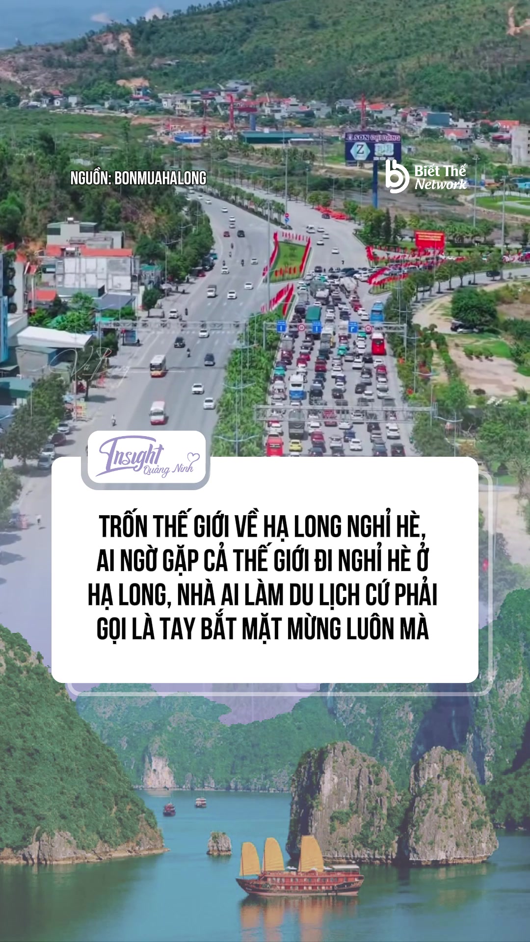 @Insight Quảng Ninh