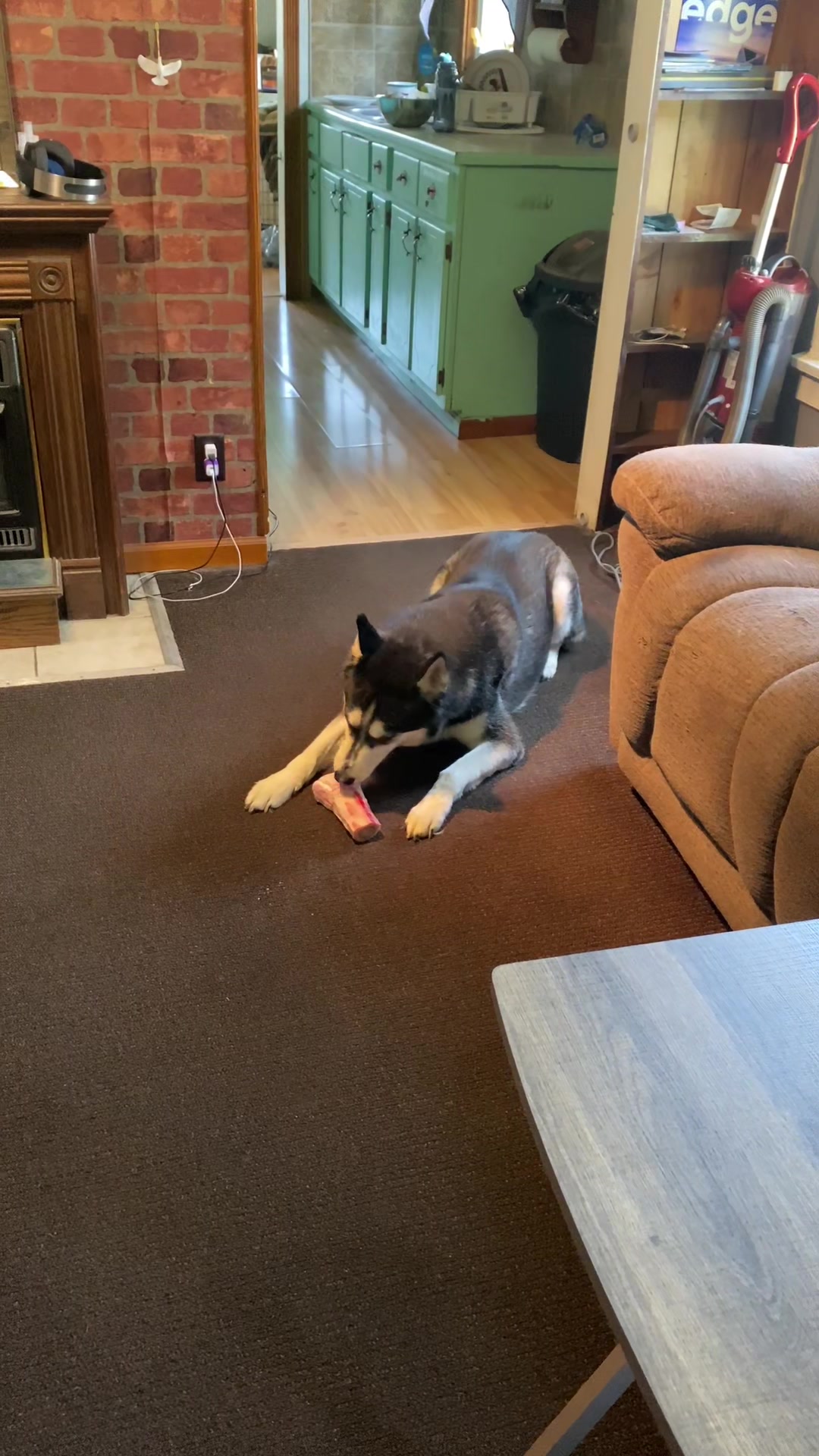 @Martin Scorsese the husky