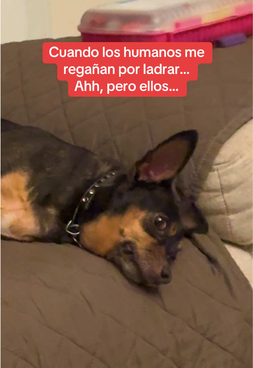 @Team Luna