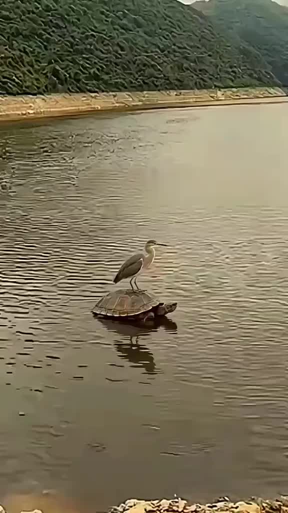 @الممشى العريض🪕🎺🎻