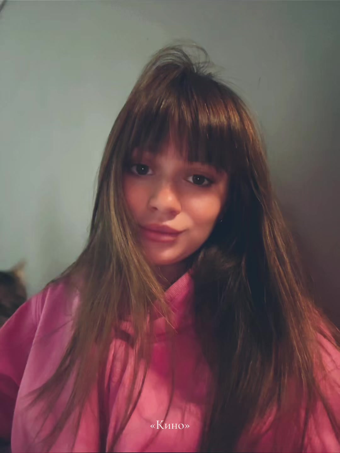 @taniel_ll