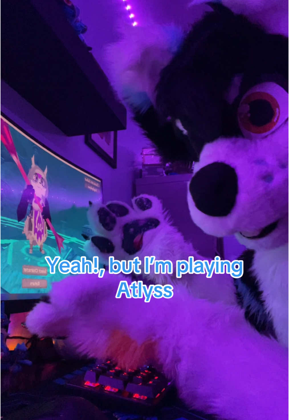 @⭐️KiwiFurSure⭐️