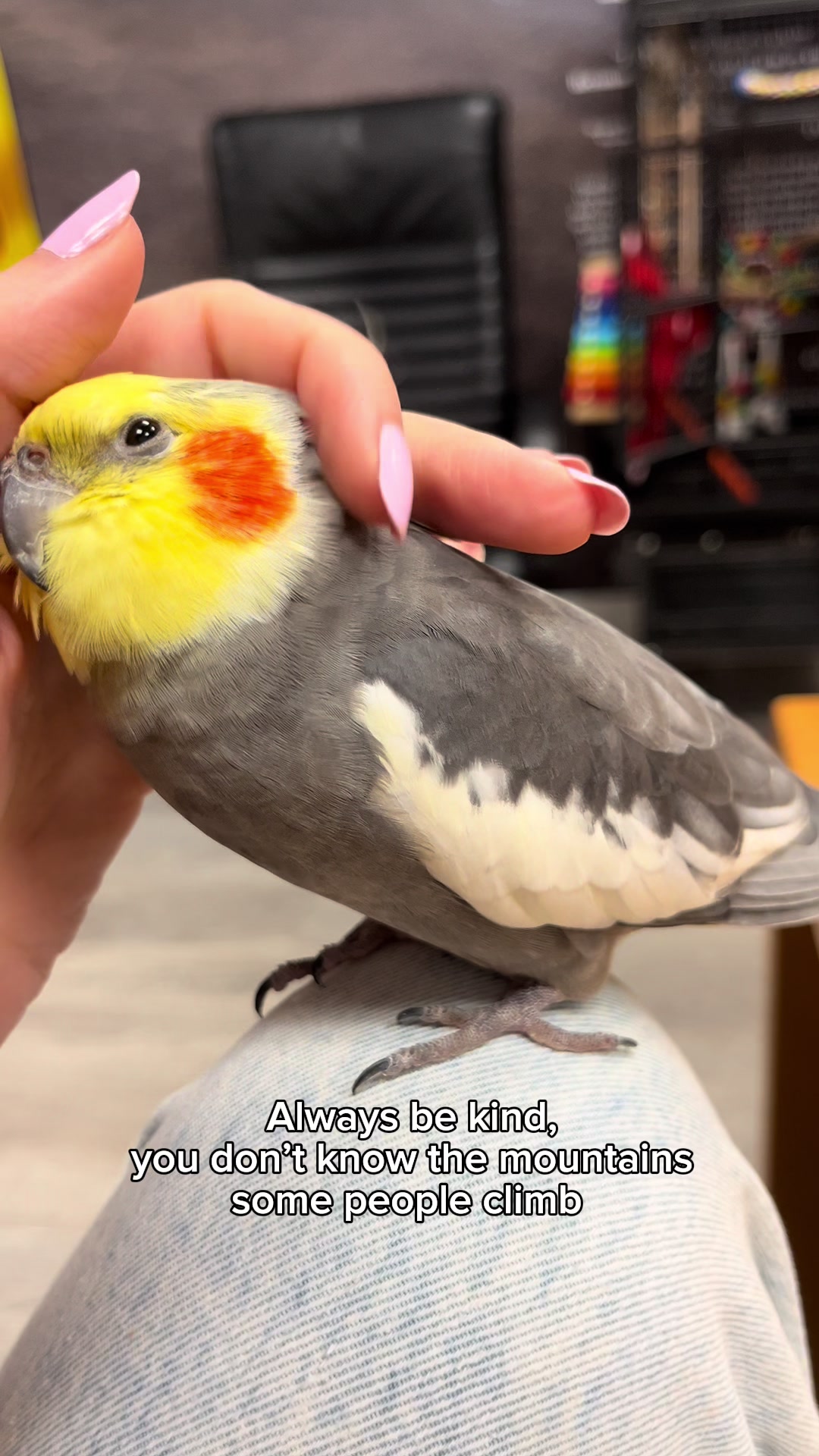 @Emery The Branch Manager