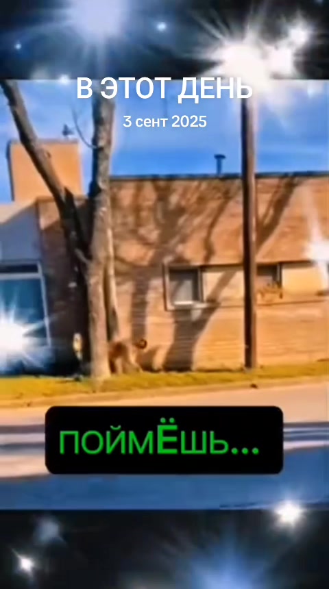 @KRAIZI