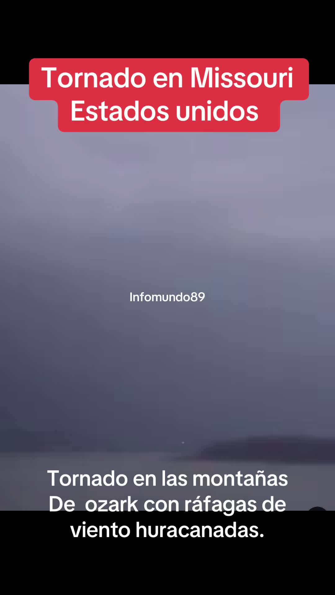 @Infomundo89