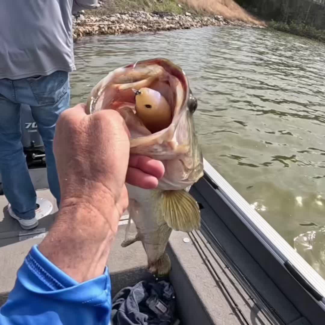 @Tacklehead Fishing