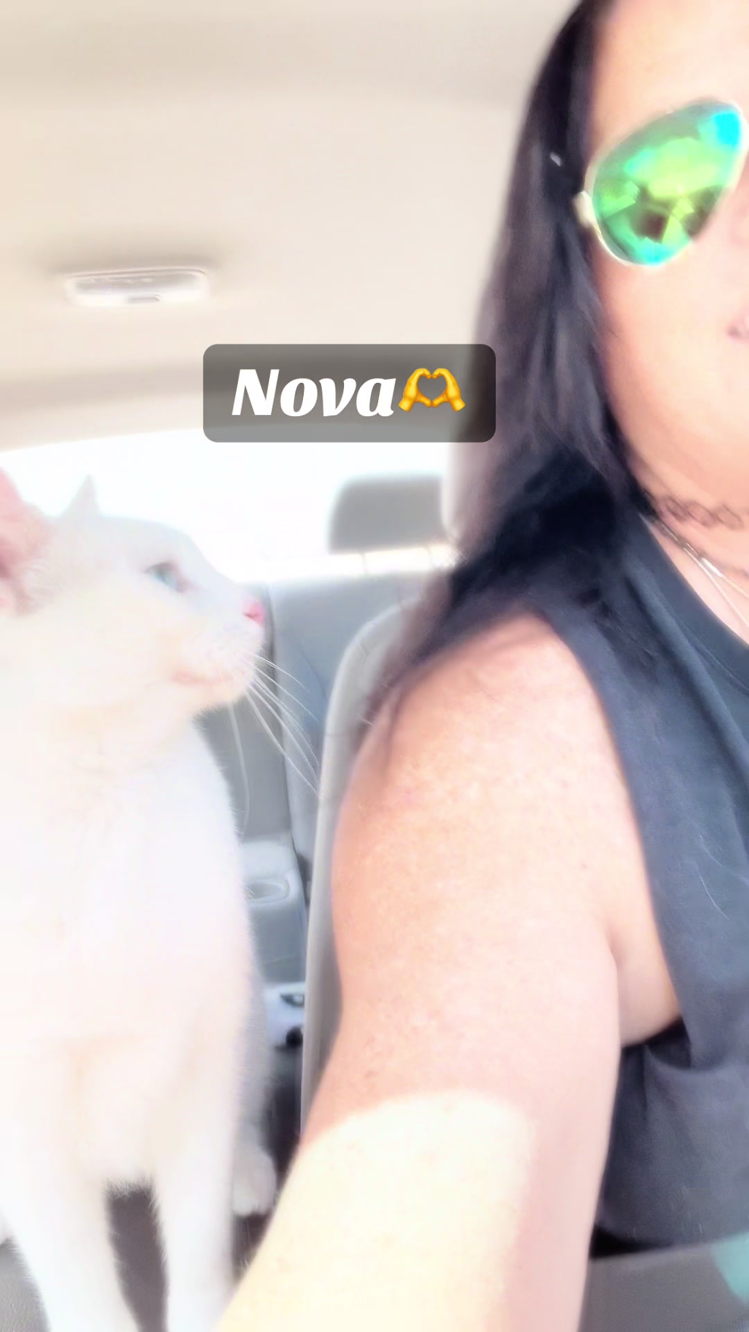 @Tamtamcorvi
