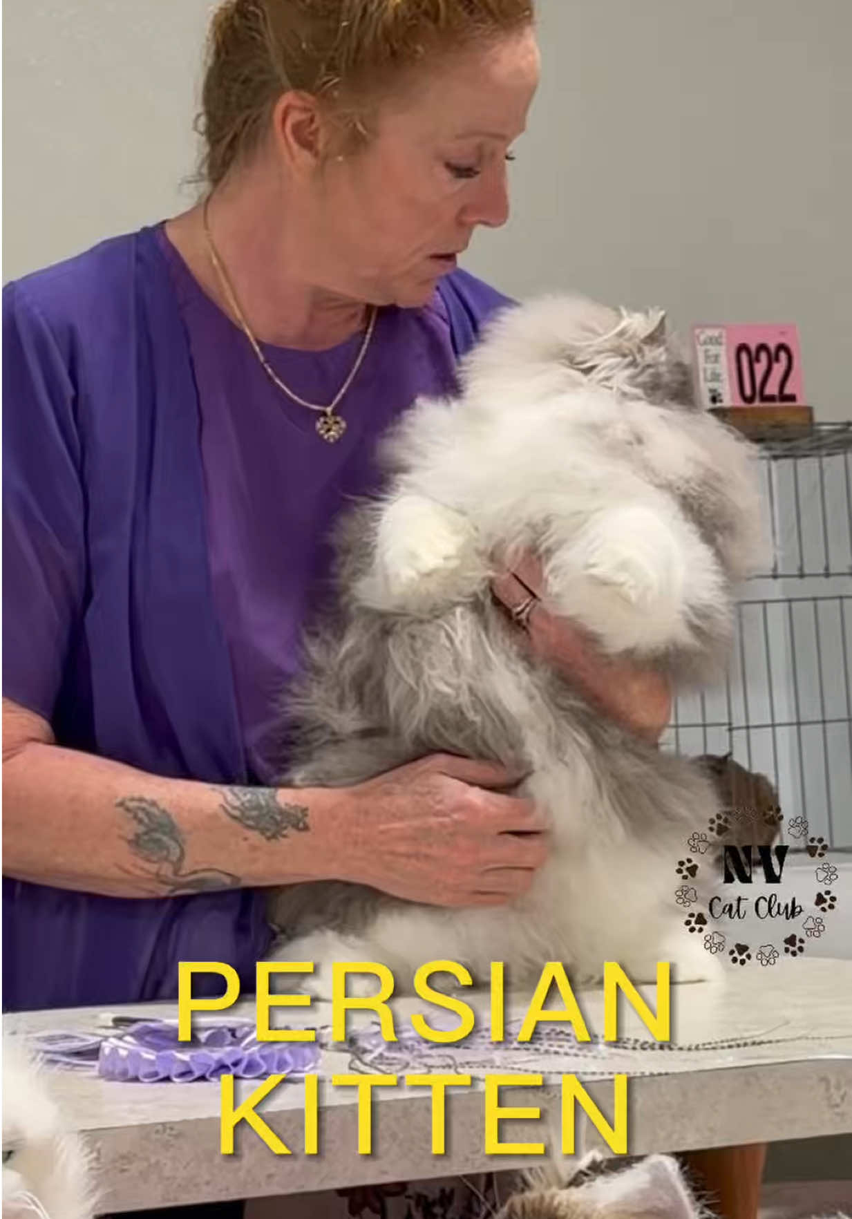 @NewVisionCatClub