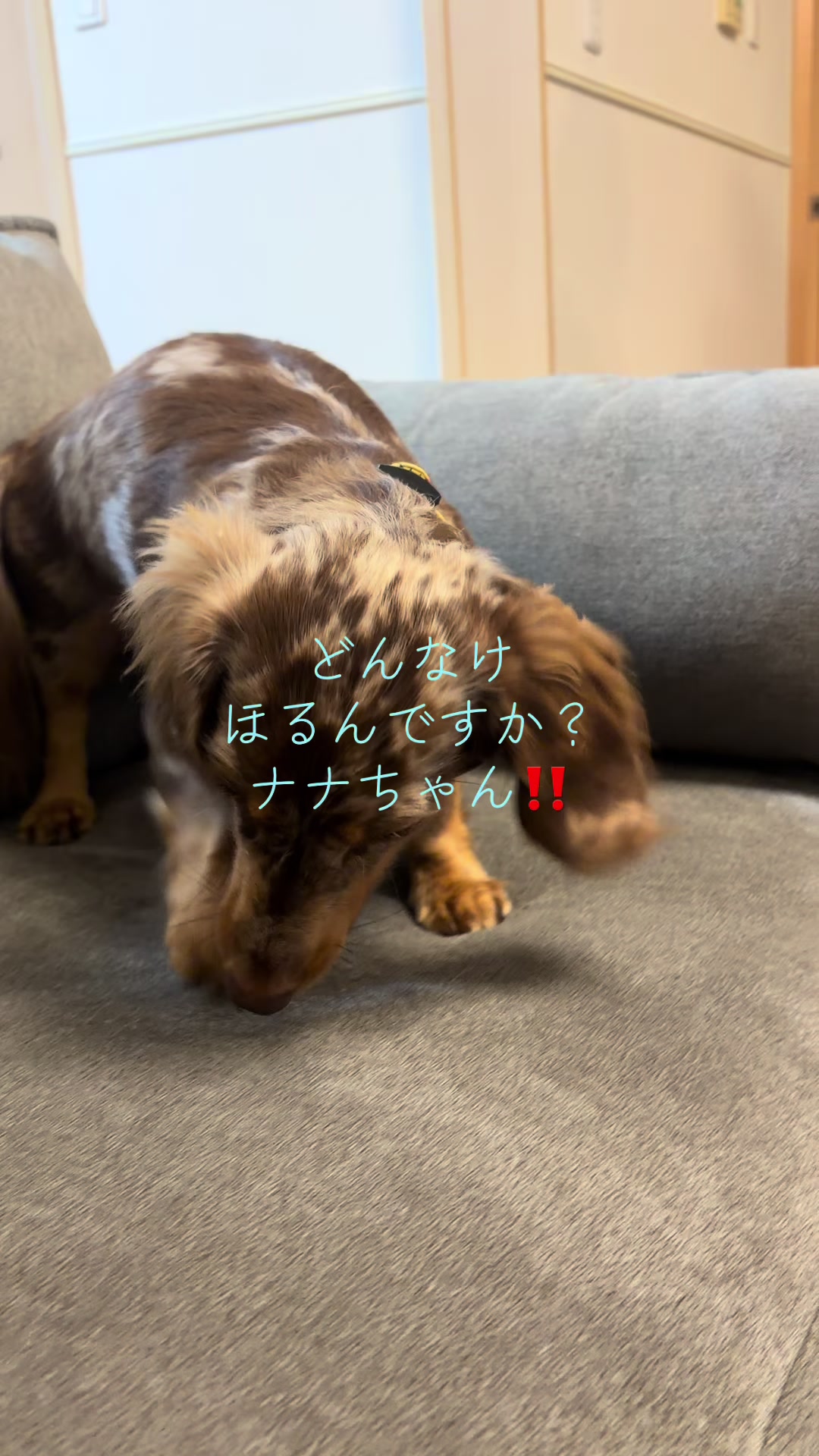 @ケン