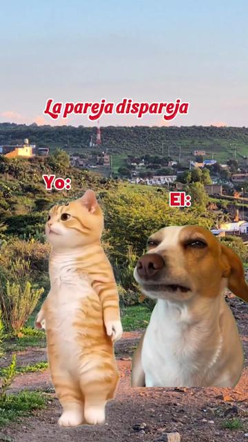 @Elbira Gusman🇲🇽🇺🇸