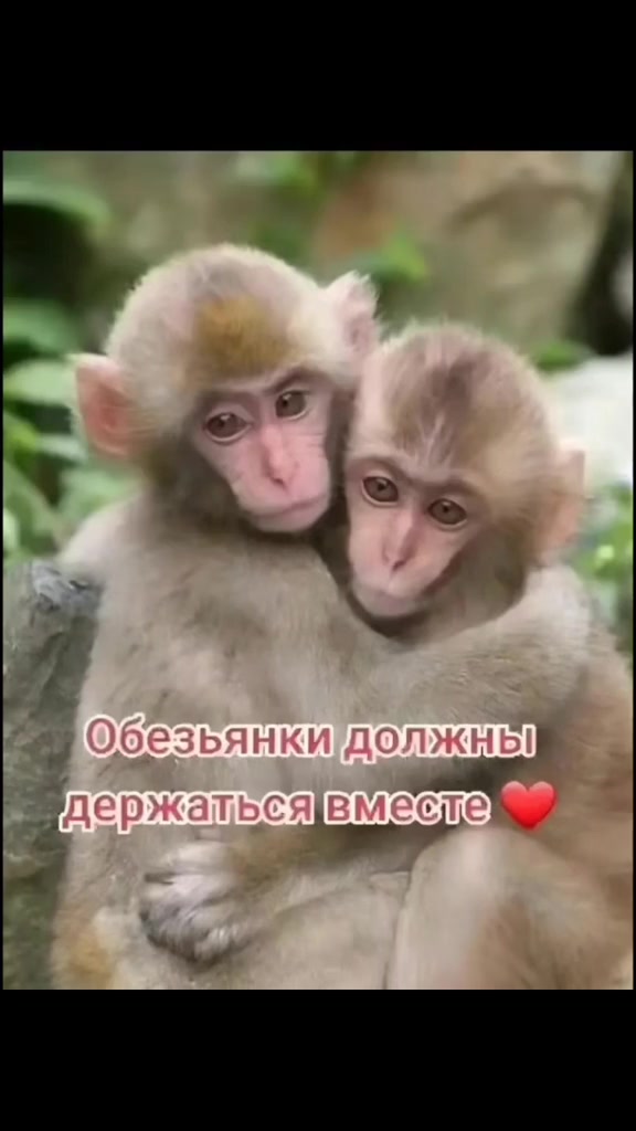 @натка