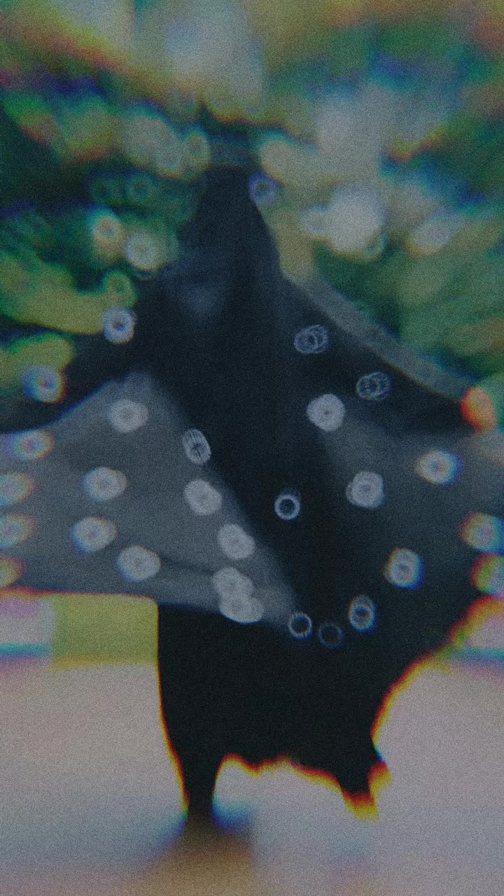 @🦋প্রজাপতি🦋
