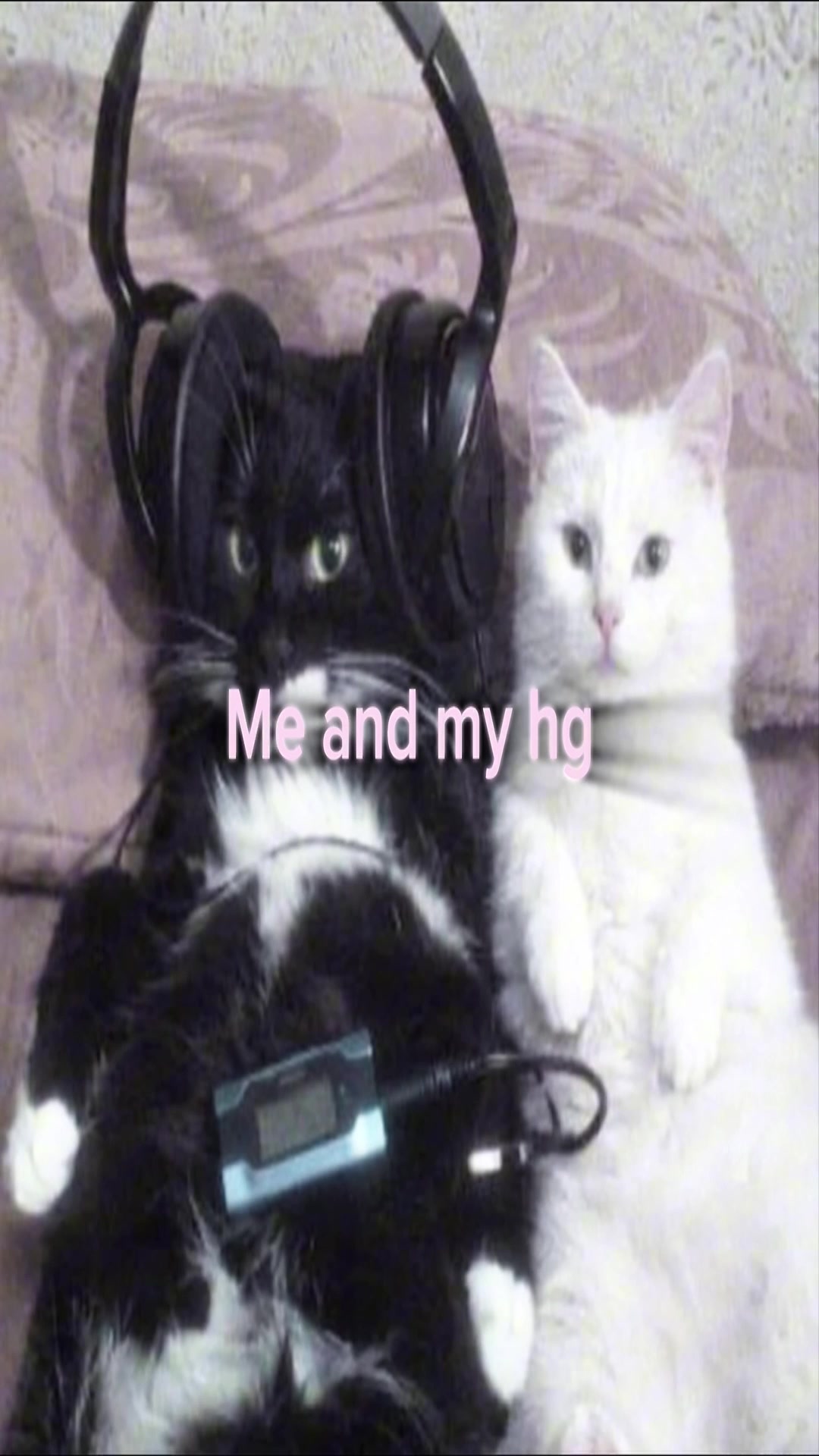 @pulido7.5