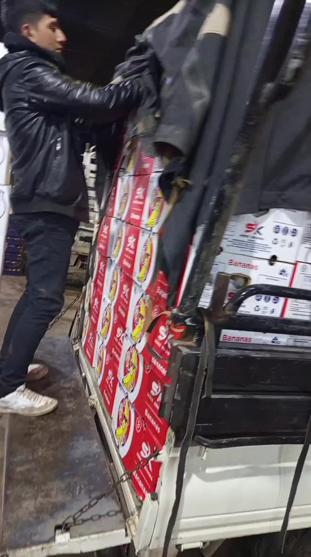 @فايق مسطو