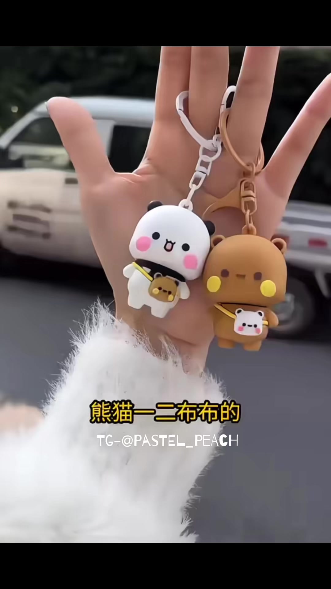 @Pastel Peach