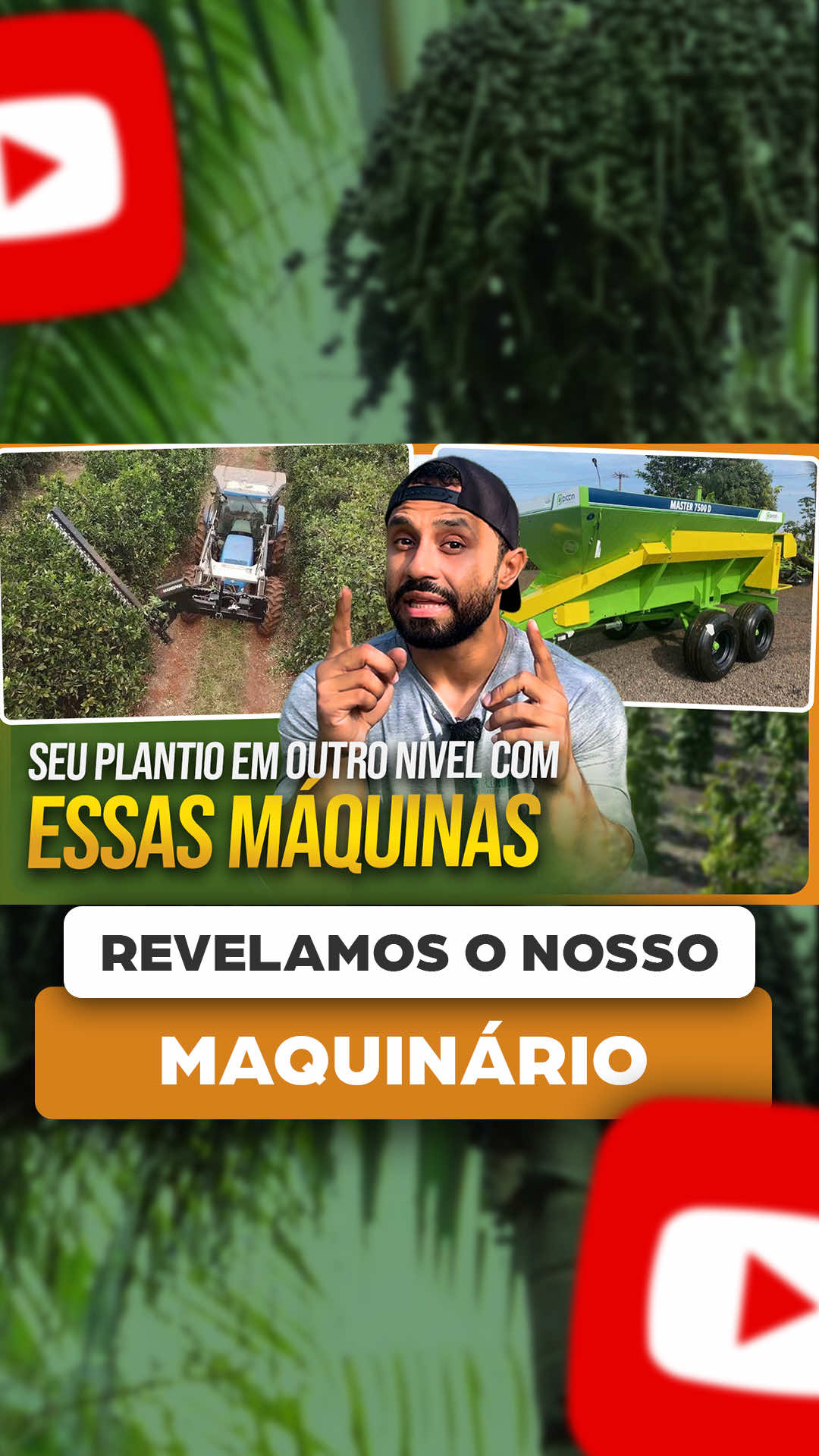 @ViveiroProMudas
