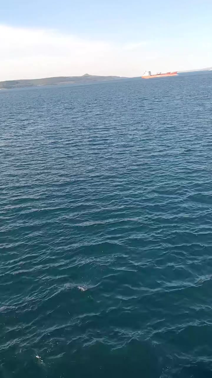 @SİZ SONUNA BAKIN