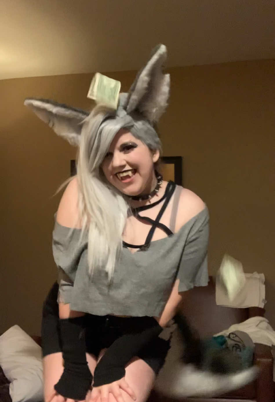 @Wolf Dreamer