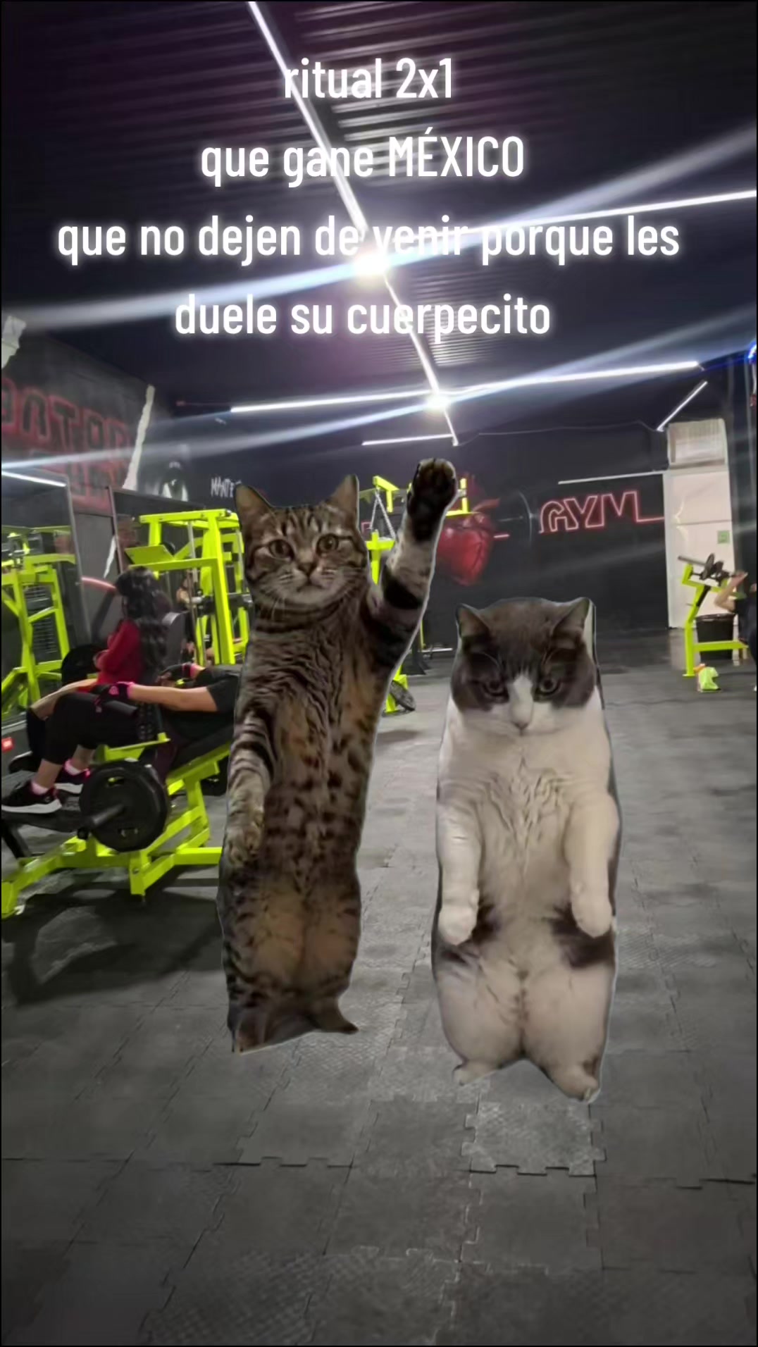 @BatorGym#1