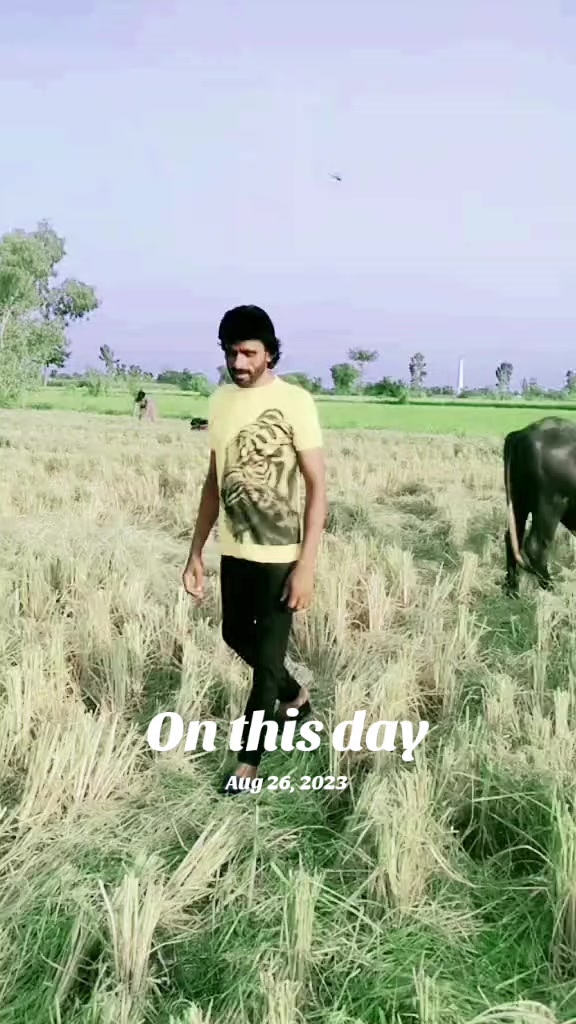 @TARIQBABO44