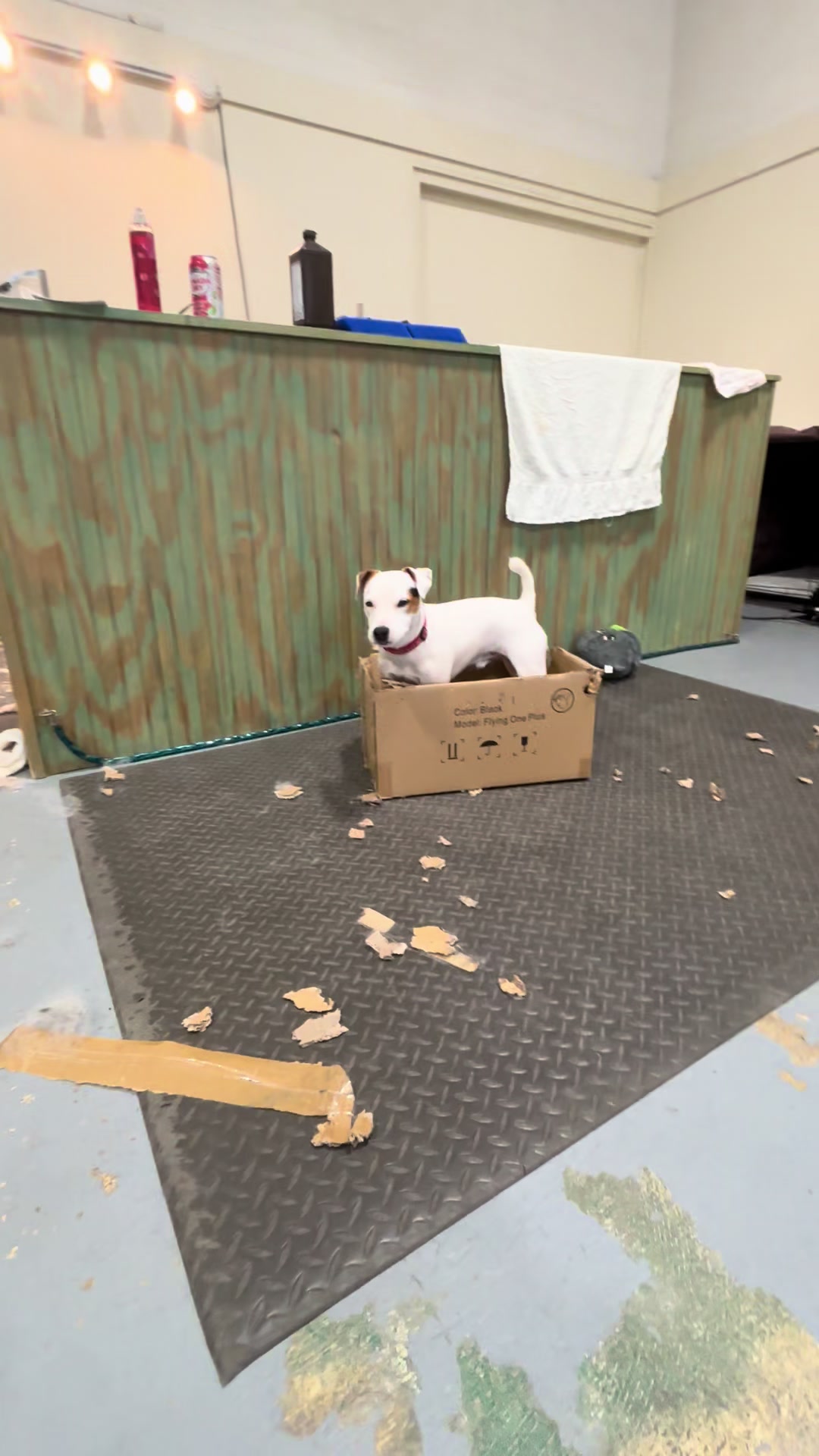 @K-9 Cleaner🐶