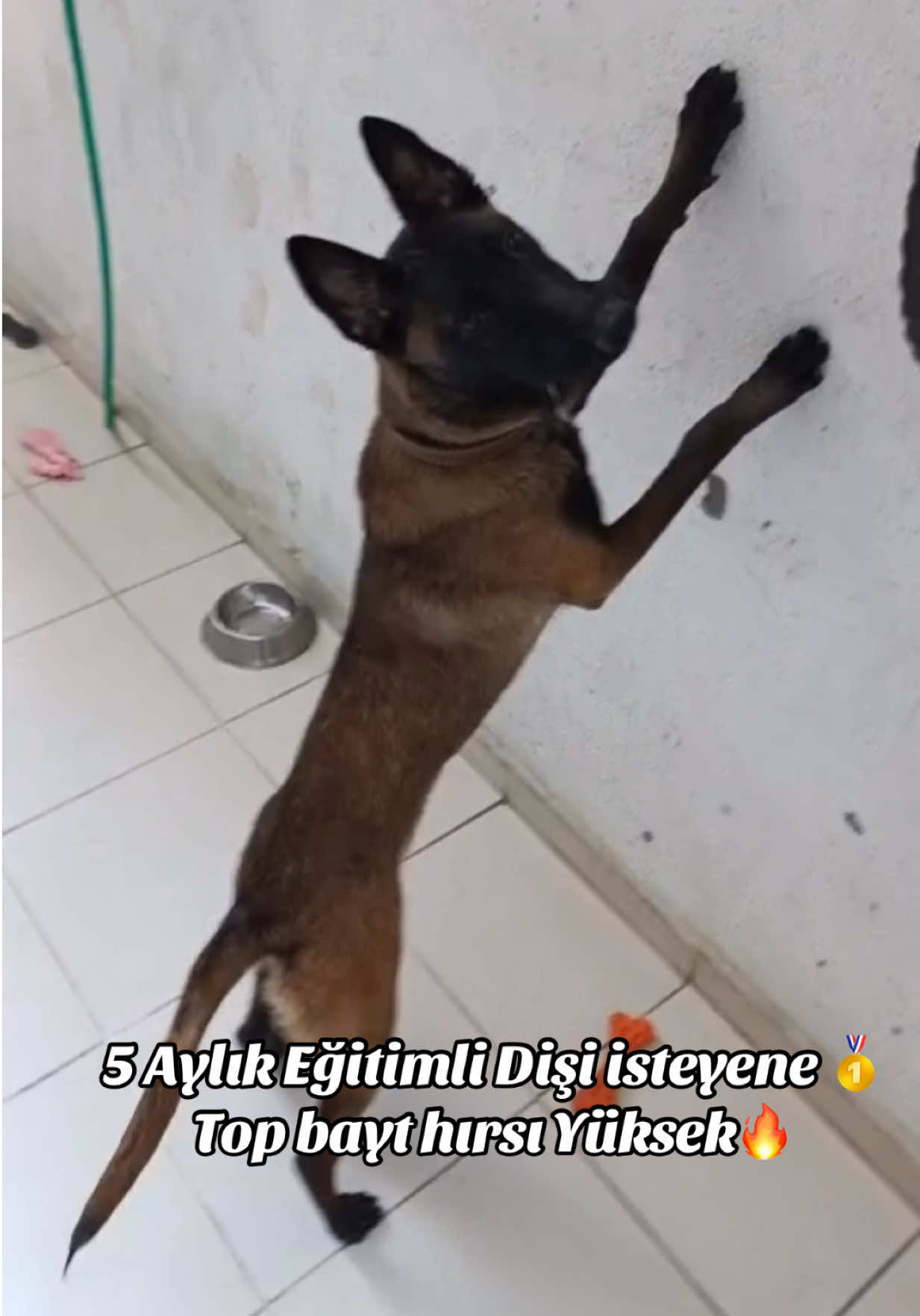 @FURKAN YASAK🥇