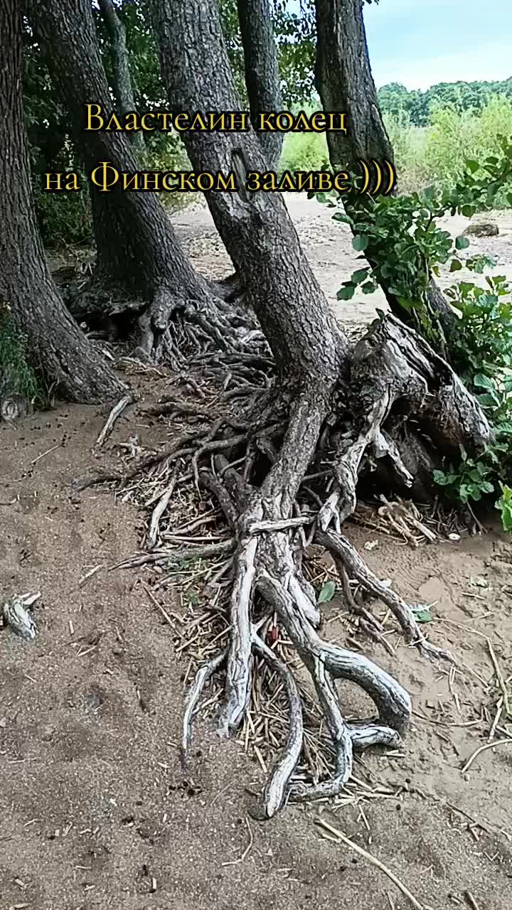 @user2278096979685