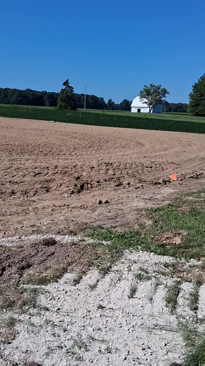 @Taylor | Sah{farm}m