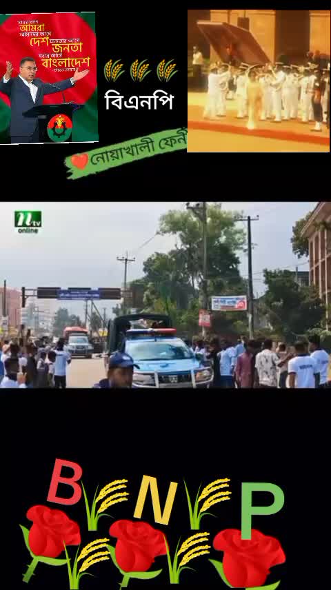 @mdsalauddiinbnp